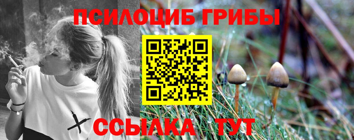 Псилоцибиновые грибы прущие грибы  Галлюциногенные грибы Magic Shrooms  Вход с VPN  Елабуга 